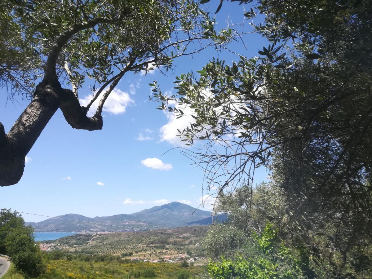 Casa Vacanze Alfano Ascea Exteriör bild