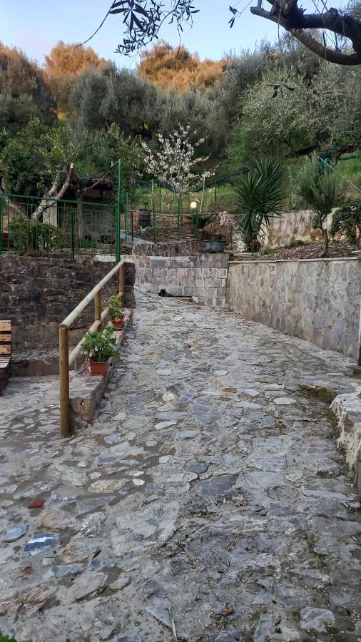 Casa Vacanze Alfano Ascea Exteriör bild
