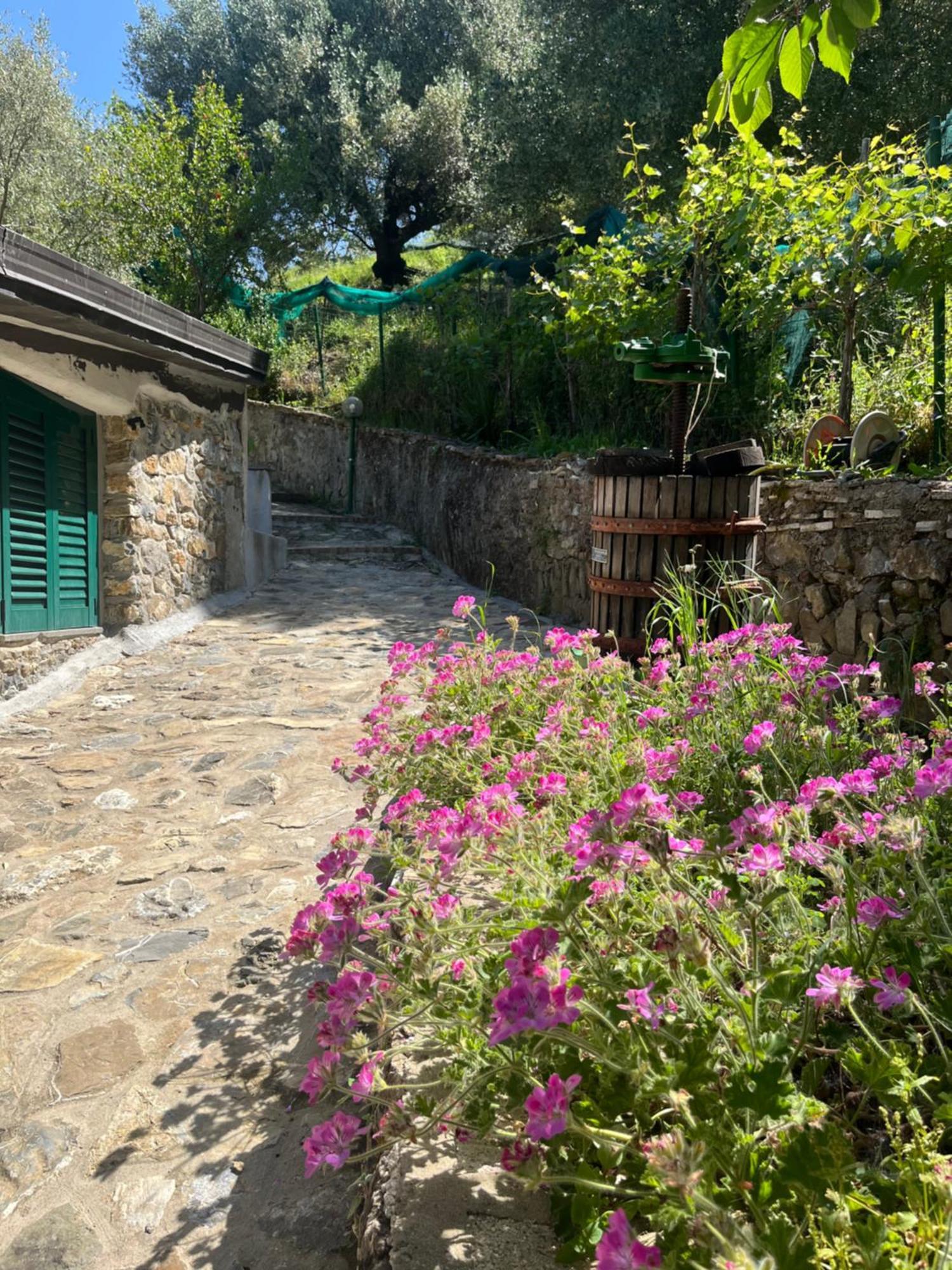 Casa Vacanze Alfano Ascea Exteriör bild