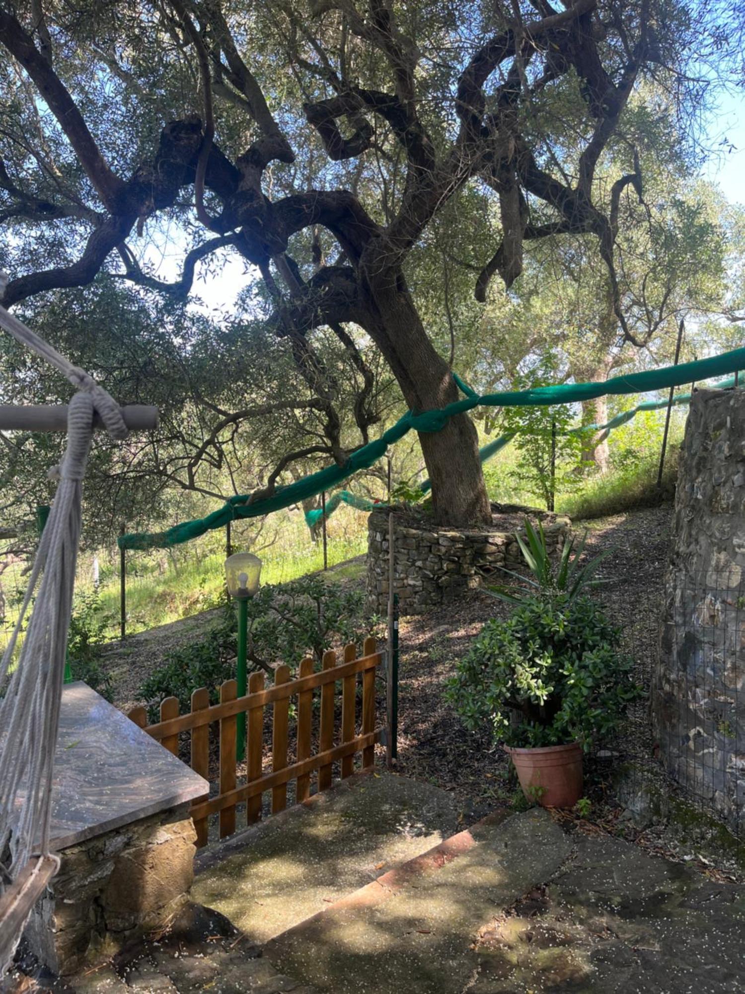 Casa Vacanze Alfano Ascea Exteriör bild