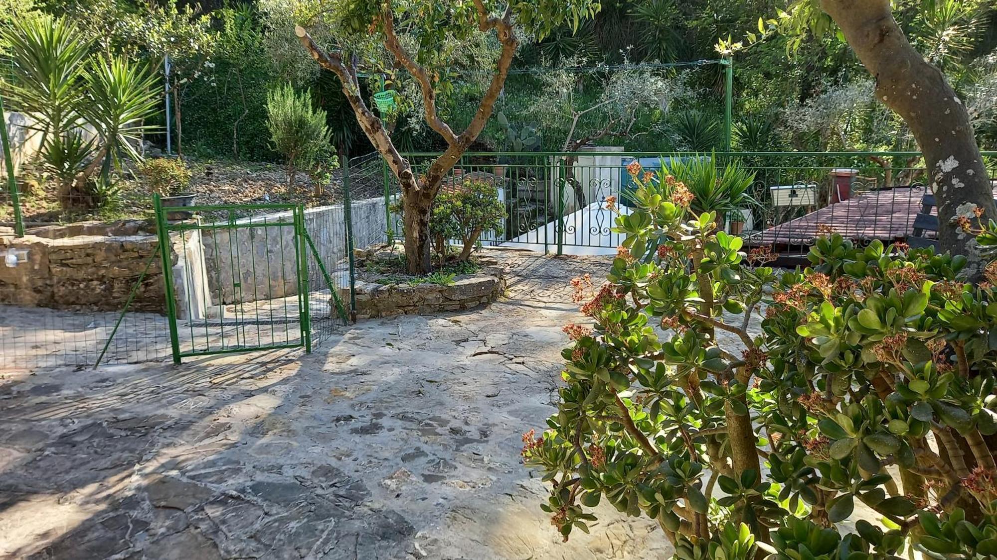 Casa Vacanze Alfano Ascea Rum bild
