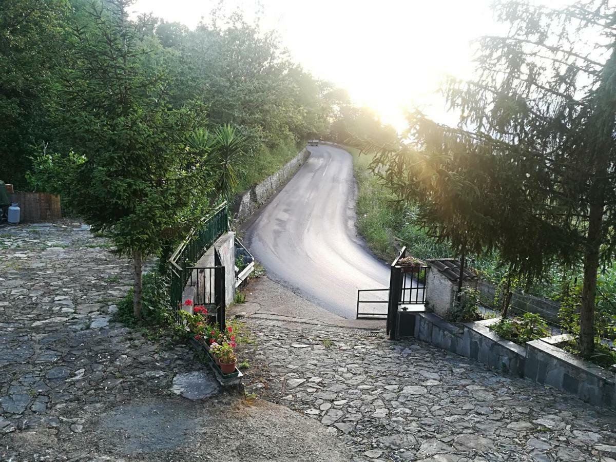 Casa Vacanze Alfano Ascea Exteriör bild