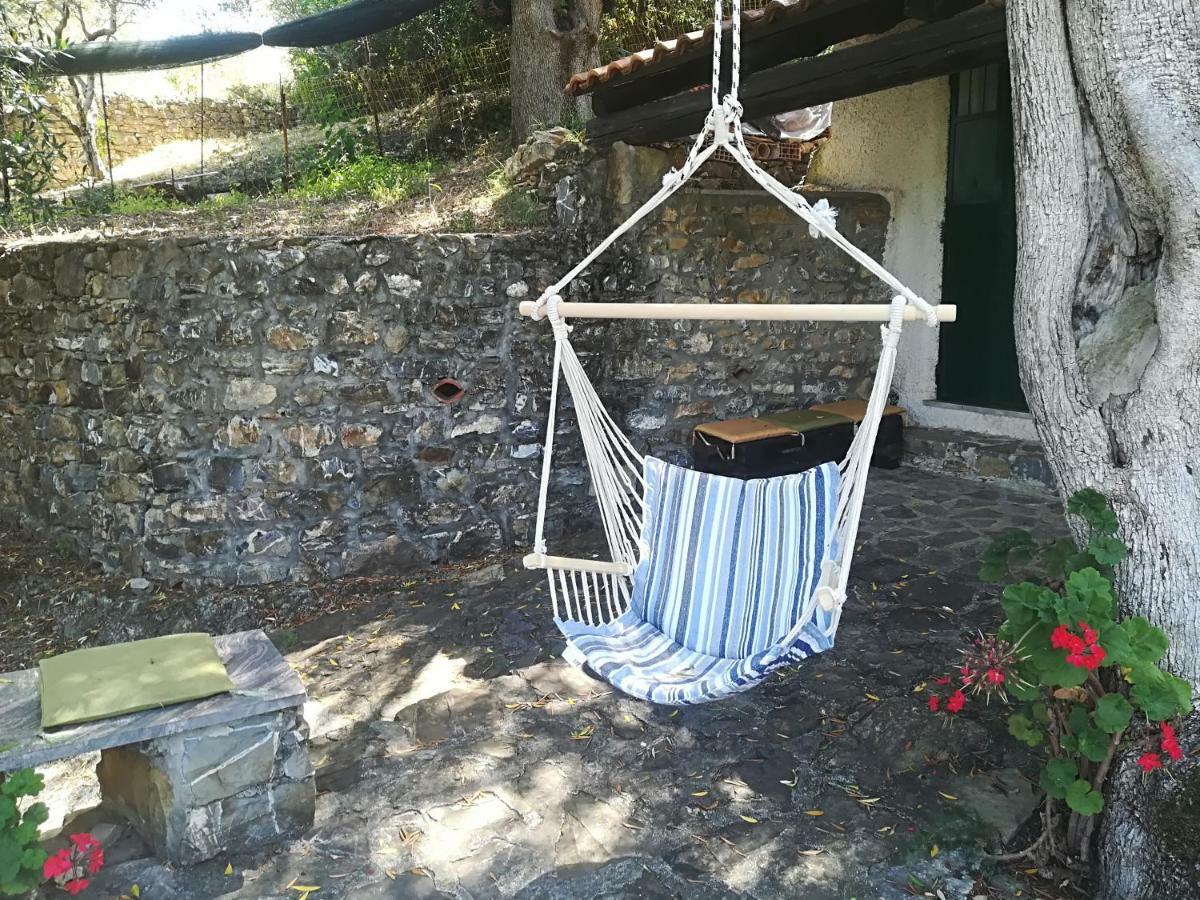 Casa Vacanze Alfano Ascea Exteriör bild